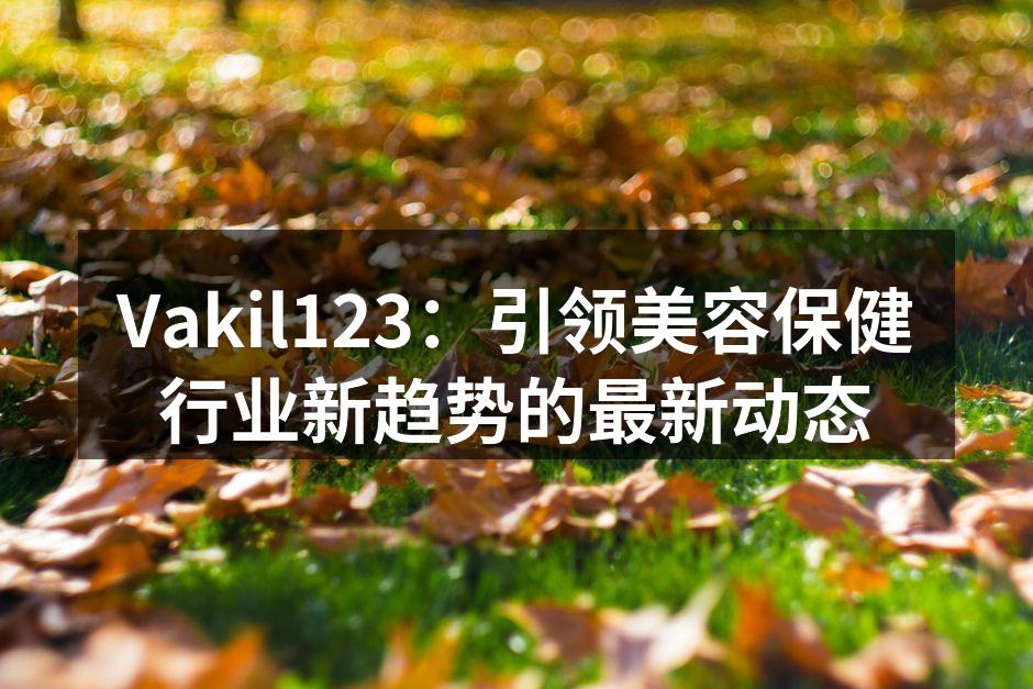 Vakil123新推出的健康管理项目宣传海报